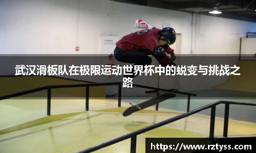 3377体育官网