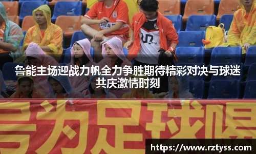 3377体育官网