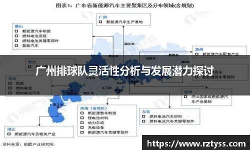 3377体育官网
