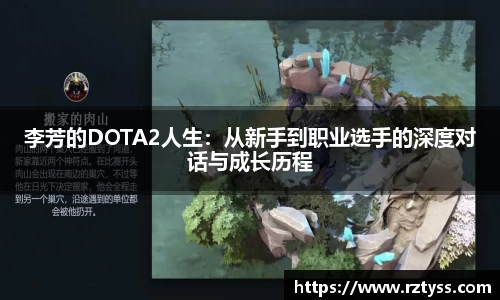 3377体育